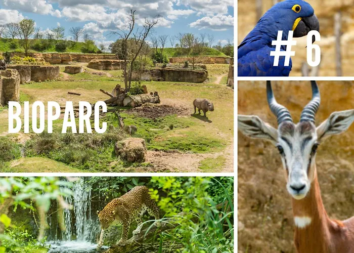 Jolie M'home, Le Puy Du Fou, 15 Pers, 7 Ch, 5 Sde, 5 Wc *